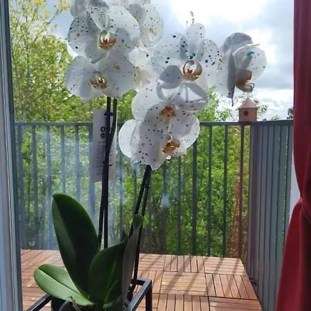 Fajnietu Sloneczna Dolina 9a 24